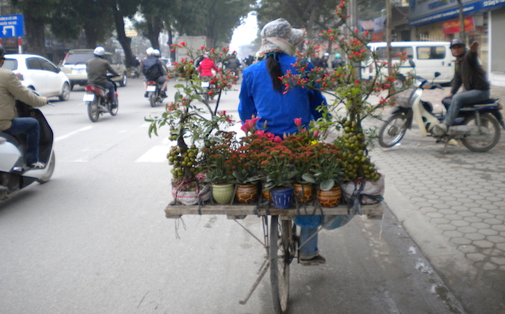 Person riding bike away with plants/flowers on the back